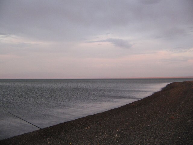 IMG 0371