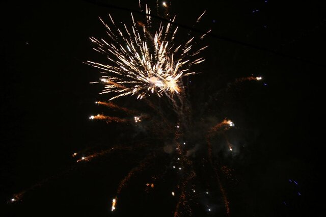 IMG 1560 (Large)