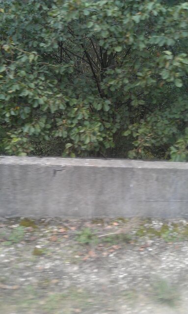 IMAG0178