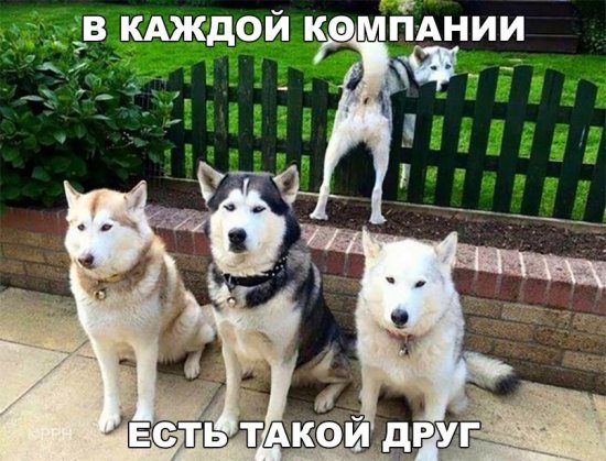 post-31905-0-27839800-1504888899_thumb.jpg