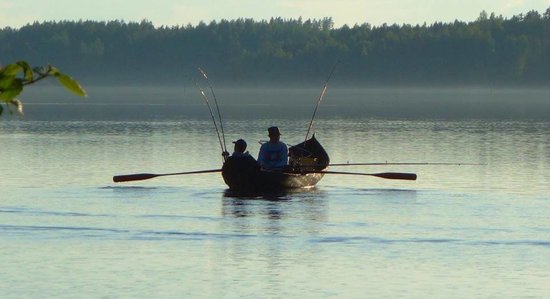 Saimaa5.jpg