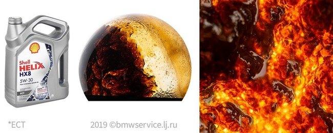 63_shell-5W30-HX8-ECT_XL.jpg