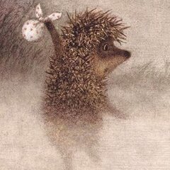 Hedgehog foggy