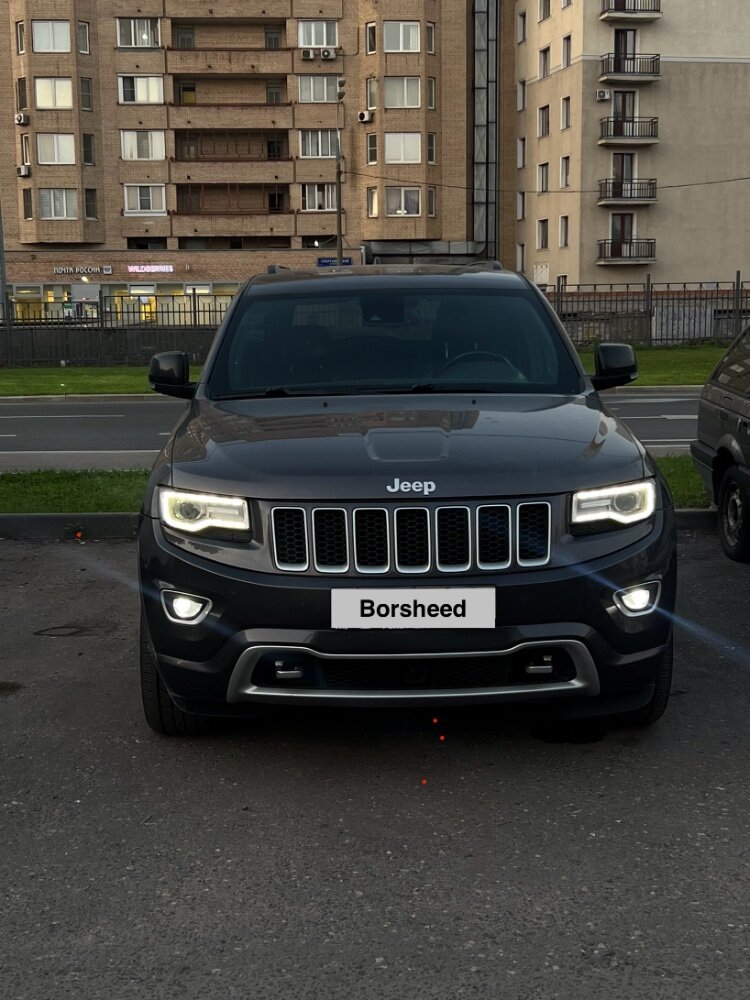 Borsheed