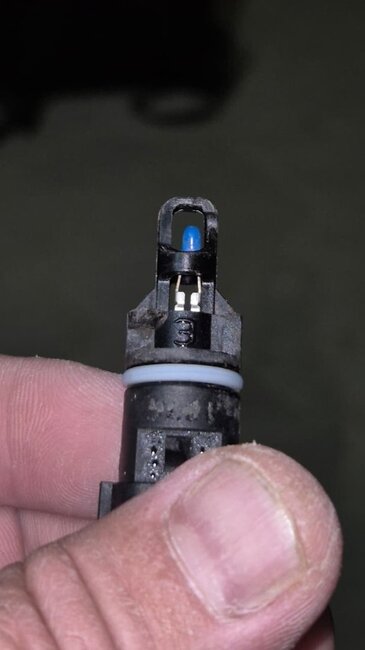 WhatsApp Image 2025-12-12 at 12.29.20.jpeg