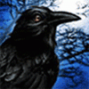 Crow 2